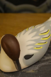 Island Porcelain Pintail