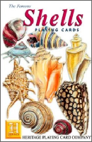 Shells Playing Cards