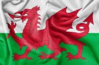 Welsh Souvenir Flag