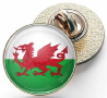Welsh Souvenir Pin Badge