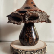 Banksia Nut Mushroom