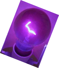 Blacklight Bulb