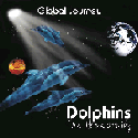 Dolphins the Homecoming CD