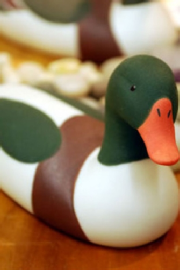 Island Porcelain Shelduck